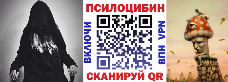 дарнет шоп Невинномысск KRAKEN сайт Галлюциногенные грибы Psilocybine cubensis