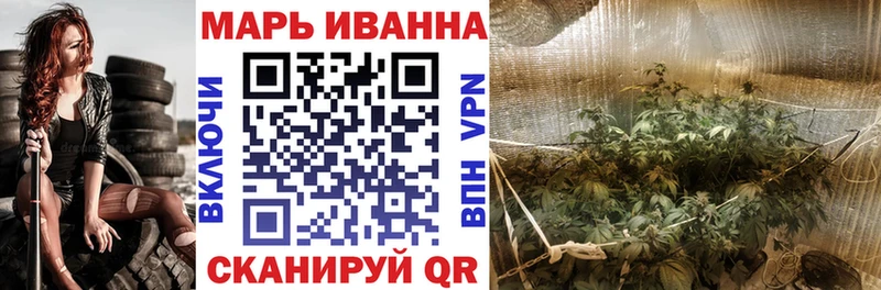 наркота  Невинномысск  Бошки марихуана сатива 